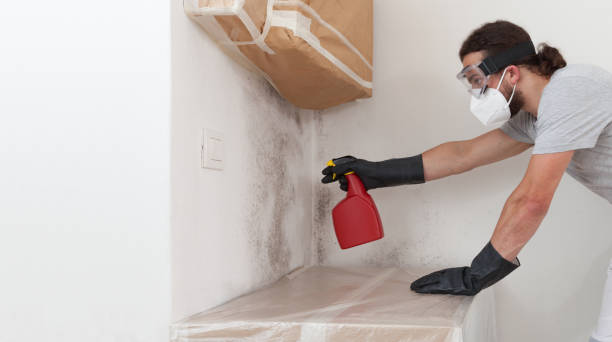 Professional Mold Testing technician working in Old Bethpage, NY